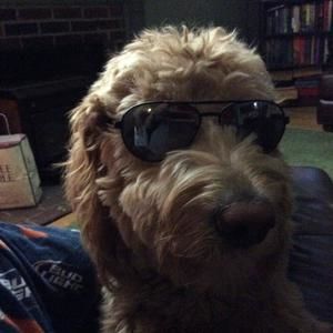 Meet your Posher, Walter